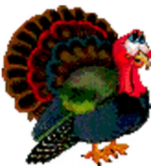 Turkey Thanksgiving GIF - Turkey Thanksgiving GIFs