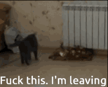 Leaving Done GIF - Leaving Done Enough GIFs