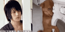 Jaejoong Ashamed Dog Sad Dog GIF