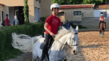 Tomas Head Horse GIF - Tomas Head Horse Ride GIFs