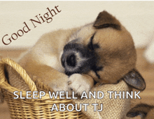 a puppy is sleeping in a wicker basket with the words good night sleep well and think about tj