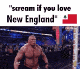 New England Scream GIF - New England Scream GIFs