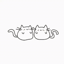 Kitties Hugging GIF - Kitties Hugging GIFs