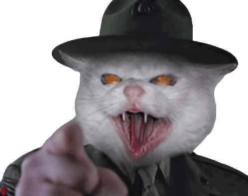 Angry Cat Meme Drill Sergeant Sticker - Angry Cat Meme Angry Cat Cat Stickers