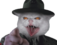 Angry Cat Meme Drill Sergeant Sticker