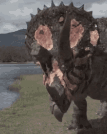 Dinosaurs In The Wild Triceratops GIF