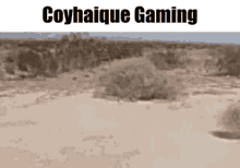 Coyhaique GIF - Coyhaique GIFs