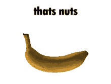 banana thats nuts plus