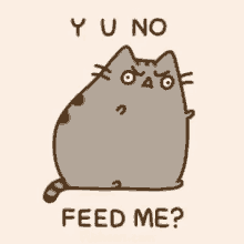 Why U No Feed Me? GIF - Popular Pusheen Hungry GIFs