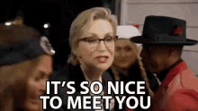 Its So Nice To Meet You Introduced GIF - Its So Nice To Meet You Nice To Meet You Introduced GIFs
