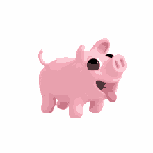 pig rosa