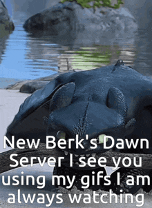 a picture of toothless from how to train your dragon with a caption that says new berk 's dawn server