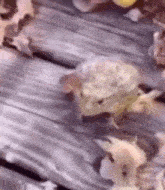 a frog is sitting on top of a wooden deck surrounded by leaves .