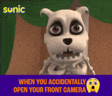 a cartoon of a skeleton dog with the words when you accidentally open your front camera