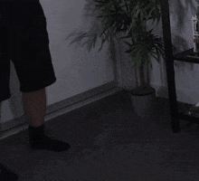 a blurred image of a person 's face with a plant behind them