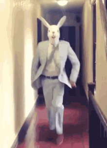 Easter Bunny GIF - Easter Bunny Sexydance GIFs