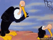 Beakybuzzard Looneytoons GIF - Beakybuzzard Looneytoons Ohnonono GIFs