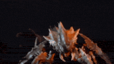 a close up of a crab with a lot of sharp claws on a table .