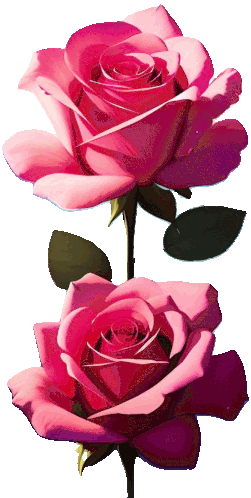 Rosas Rosa Transparente Sticker - Rosas Rosa Transparente Stickers