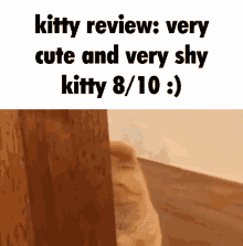 Kitty Review Kitty GIF - Kitty Review Kitty Caption GIFs