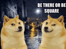 Doge Be There Or Be Square GIF - Doge Be There Or Be Square Transform GIFs