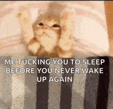 a cat is laying on a striped blanket with a caption that says me tucking you to sleep before you never wake up again