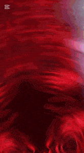 a painting of a red rose by jake sheiza