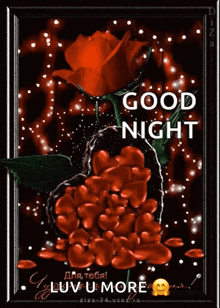 Goodnight Nite GIF - Goodnight Nite Red GIFs