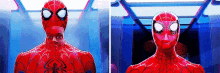spiderman reflection
