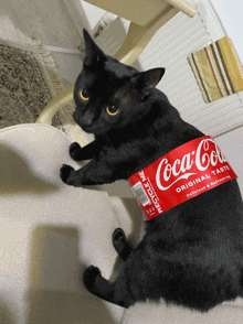 a black cat is wearing a coca cola bottle label