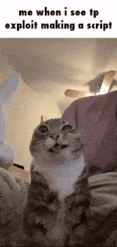a cat is making a funny face while looking up at the camera and making a funny face .
