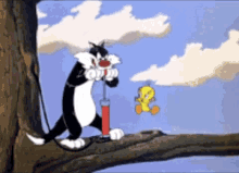 Sylvester Looney Tunes GIF