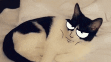 Unimpressed Unimpressed Cat GIF - Unimpressed Unimpressed Cat GIFs
