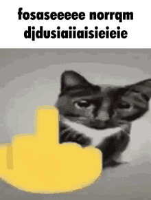 a cat giving a middle finger with the words fosaseeee norrqm didusiaiaisiieie