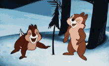 Laughing Hysterically Chip And Dale GIF - Laughing Hysterically Chip And Dale Chipmunks GIFs