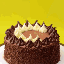 a chocolate cake with whipped cream and chocolate frosting on top