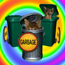 Garbage Rubbish GIF - Garbage Rubbish Kittens GIFs