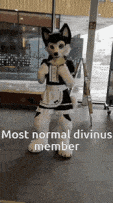 Unconventional Most Normal Divinus Member GIF - Unconventional Most Normal Divinus Member GIFs