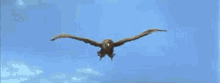 godzilla ebirah horror of the deep ookondoru giant condor flying