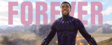 Chadwick Boseman Black Panther GIF - Chadwick Boseman Black Panther Marvel GIFs