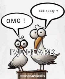 a cartoon of two seagulls talking to each other with speech bubbles saying omg and ive heard .