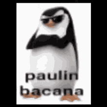 Paulin Bacana GIF - Paulin Bacana GIFs