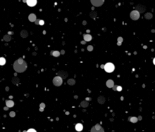 Black White GIF - Black White Bubbles GIFs
