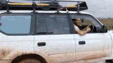Smile Thumbs Up GIF - Smile Thumbs Up Storm Chasers GIFs