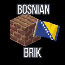bosnian brik