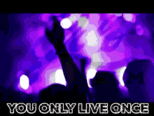 Yolo You Only Live Once GIF - Yolo You Only Live Once Yolorum GIFs