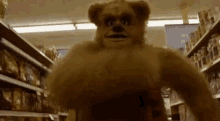 Bear Costume GIF - Bear Costume Run GIFs