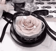 a pink rose in a glass dome with a heart on top of it .