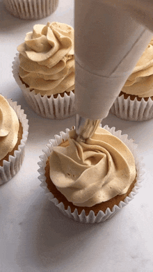 a piping bag is being used to frost cupcakes