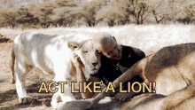 Act Like A Lion Dean Schneider GIF - Act Like A Lion Dean Schneider Part Of The Lion Pride GIFs